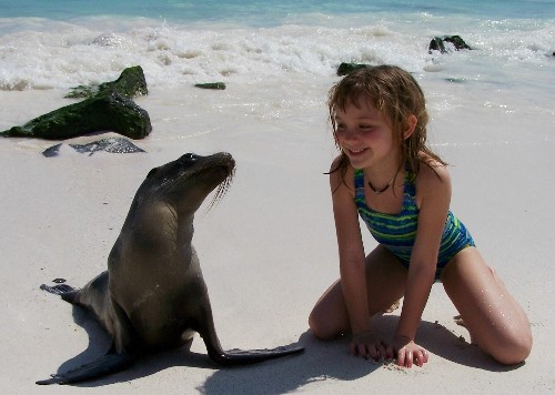 galapagos_islands_sea_lion.jpg